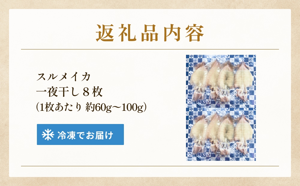 するめいか一夜干し 8枚 富山県 氷見市 イカ 干物