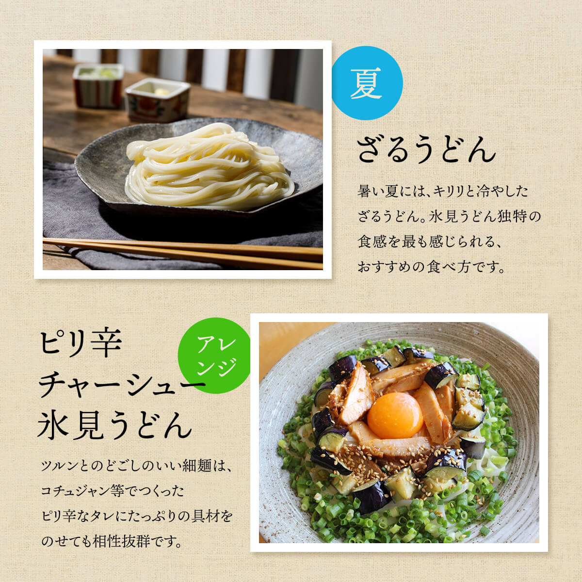 【3回連続定期便】 海津屋　氷見うどんセット 乾麺 定期便 