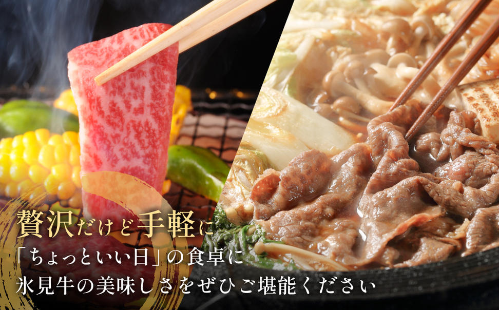 氷見牛切り落とし 300g × 2パック 合計600g 小分け 黒毛和牛 