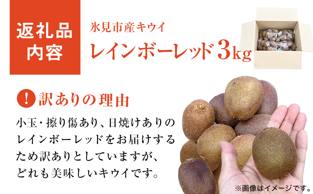 【先行予約 】訳ありレインボーレッド3kg（小玉、異形、擦