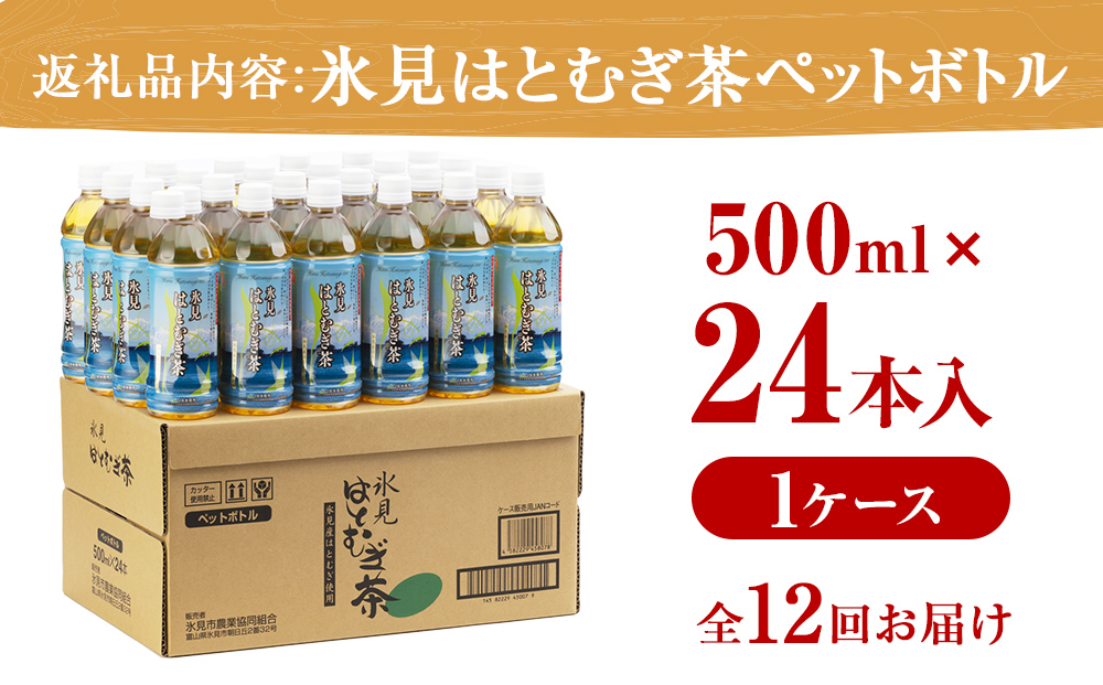 【12ヶ月定期便】 氷見はとむぎ茶 ペットボトル 500ml × 24本