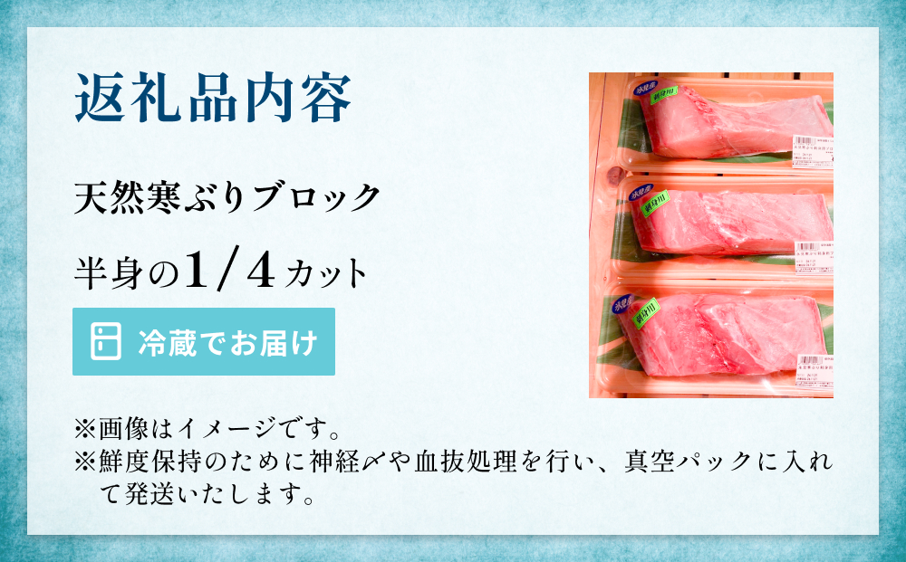 氷見産 天然寒ブリ 片身 １／4カット | 釣屋魚問屋直営店