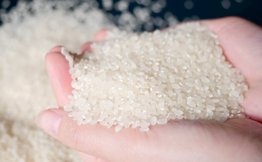 ＜3ヶ月定期便＞ 令和7年産 富山県産コシヒカリ 5kg お米自