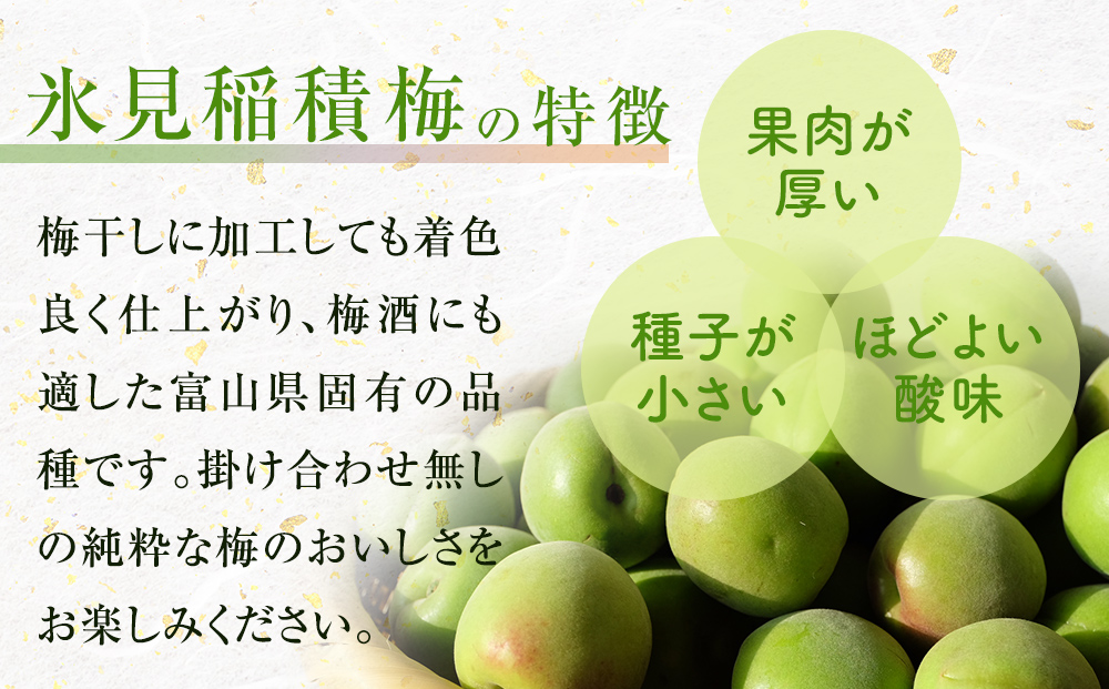 梅干し お米（10kg）付き！｜　富山県 氷見市 固定種 稲積梅