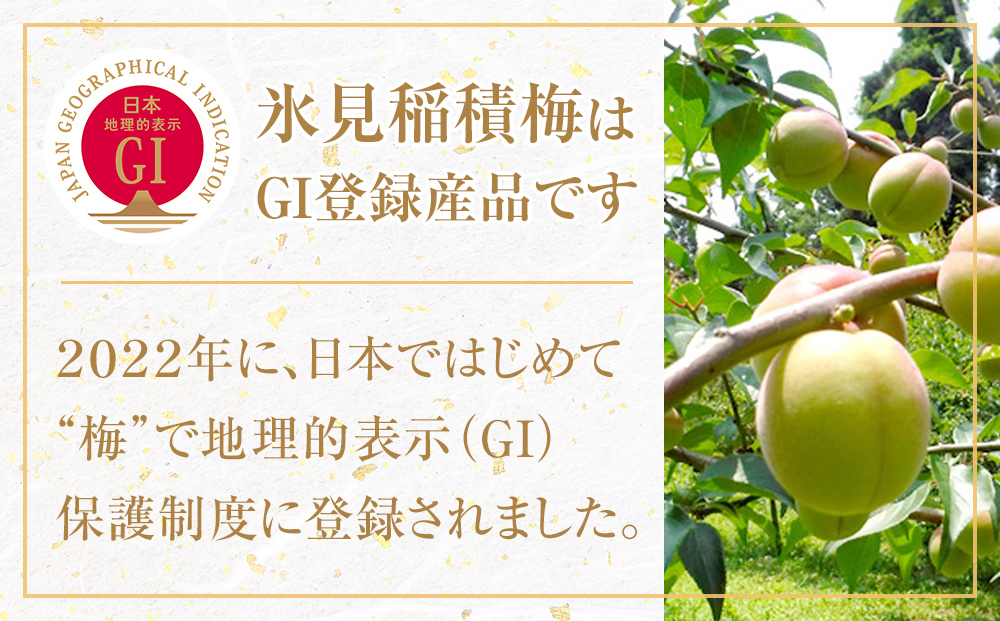 越中伝統梅干し 氷見稲積梅 1kg （塩分約12%）