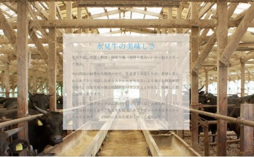 極上の黒毛和牛氷見牛すき焼き用肉600g