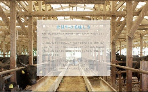 【２回定期便】極上の黒毛和牛氷見牛のステーキ用＆すき