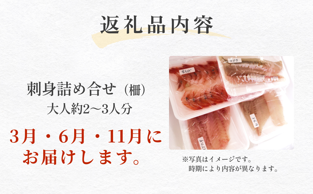 【３回 定期便】 氷見漁港朝どれ！旬の新鮮鮮魚おまかせセ