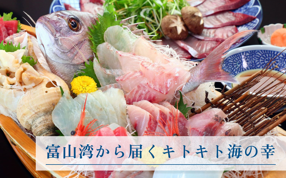 富山の氷見温泉郷 幸慶の湯 民宿すがた 宿泊・食事補助券1万円 ｜富山県 氷見市 旅行 観光 宿泊 宿泊券 食事券 クーポン チケット 海鮮