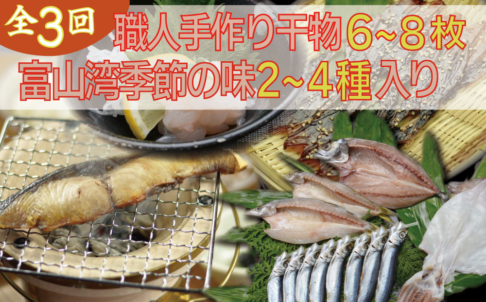 【年間3回定期便】『ホタルイカ』『白えび』『氷見ぶり』