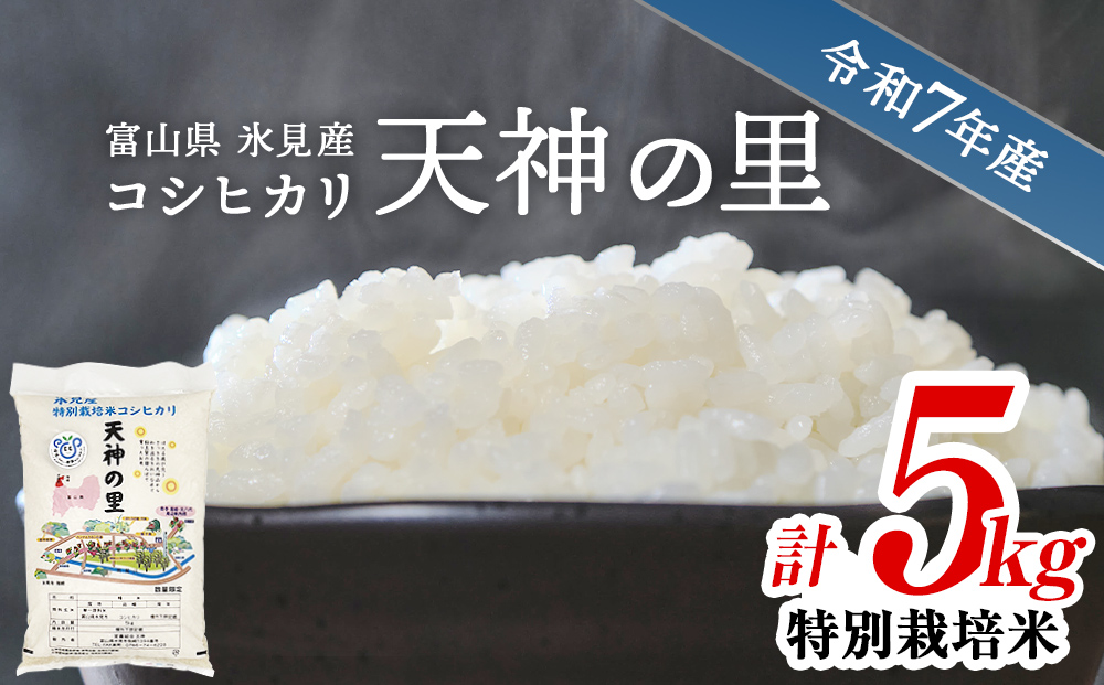 令和7年産 富山県産 特別栽培米 コシヒカリ 天神の里 ５kg 