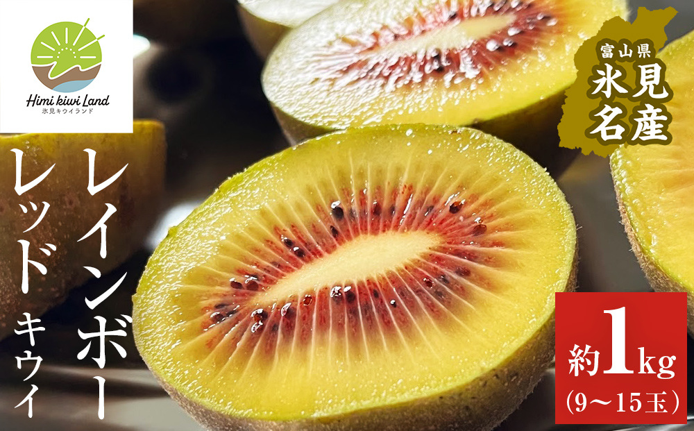 【先行予約】氷見産キウイ（レインボーレッド）1kg以上（9