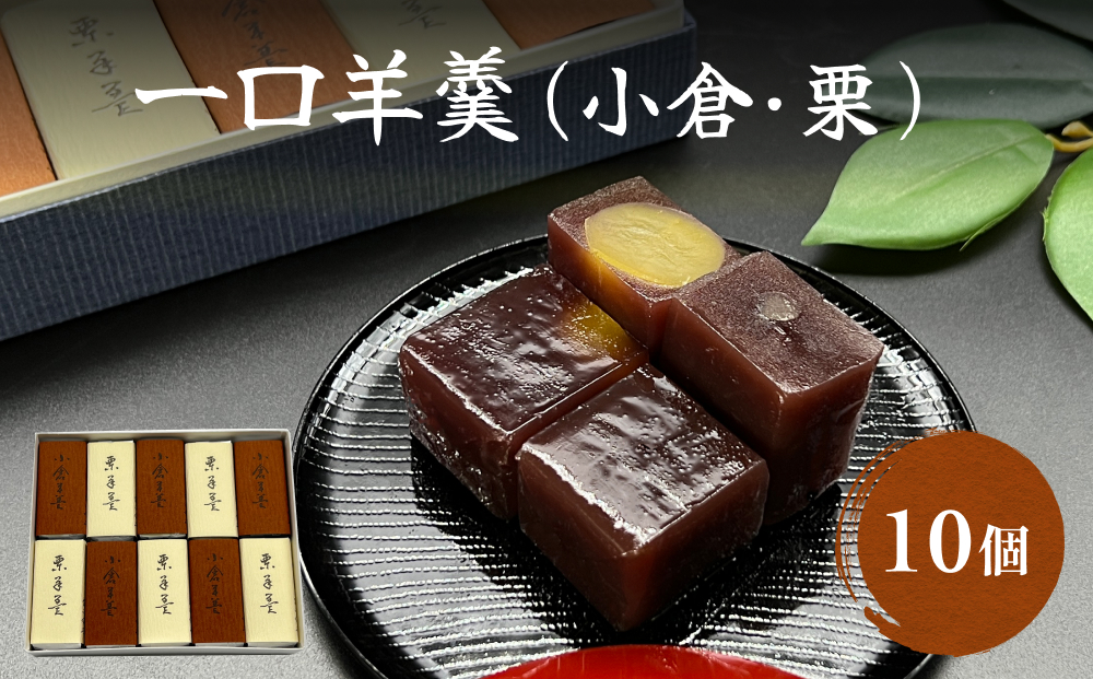 井上菓子舗 一口羊羹 10個