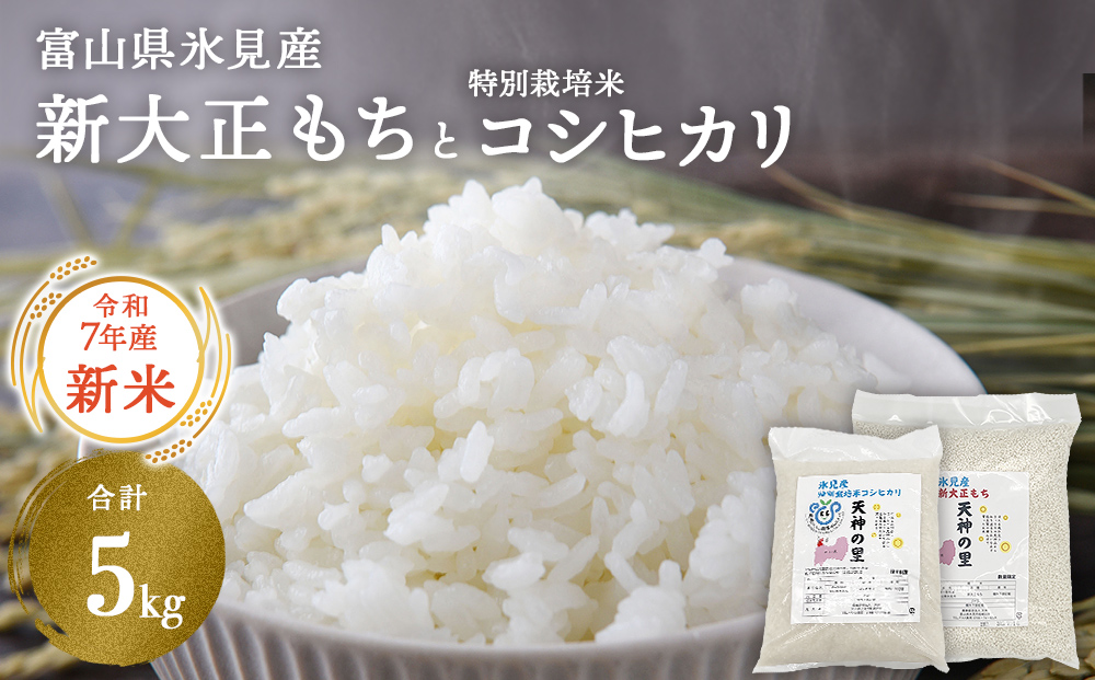 富山県氷見産 新大正もち（3kg）と特別栽培米コシヒカリ（2