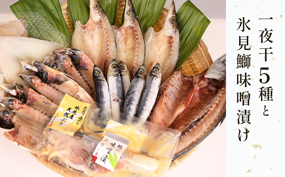 氷見 堀与おすすめ一夜干5種と氷見鰤味噌漬け 富山県 氷見