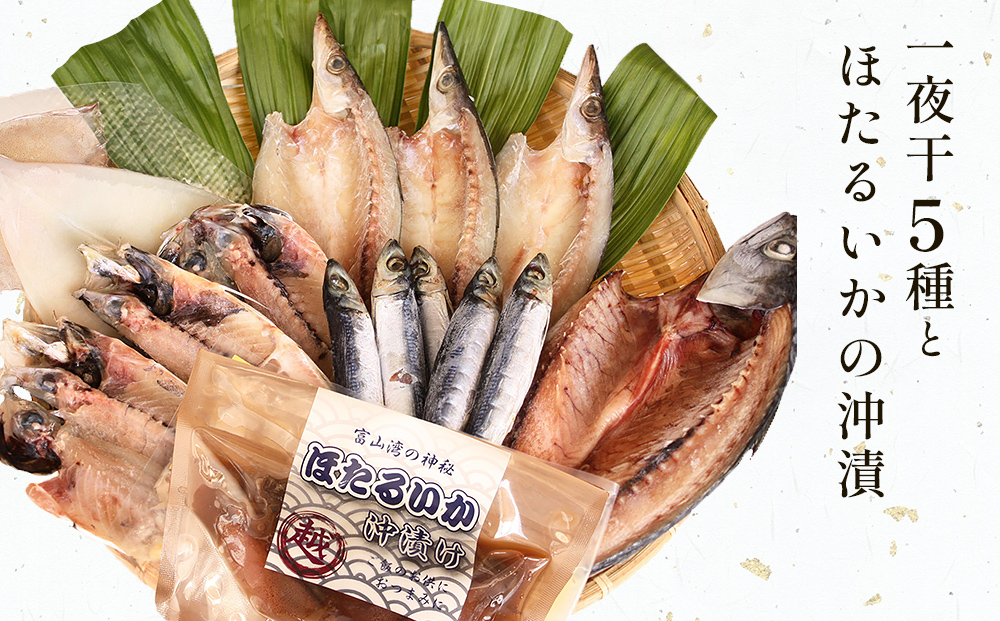 氷見 堀与 一夜干5種とほたるいかの沖漬 富山県 氷見市 干