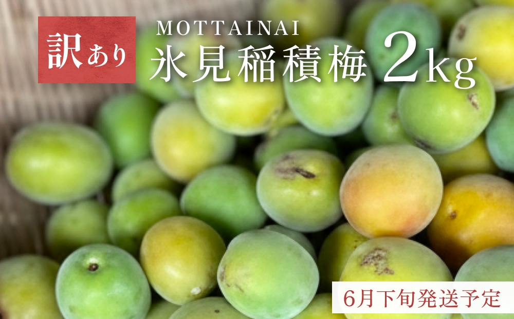 【訳あり】【先行予約】MOTTAINAI 氷見稲積梅 2kg ＜6月下旬発
