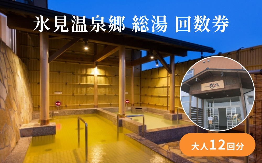 氷見温泉郷 総湯 回数券（大人12回分） 富山県 氷見市 温泉 
