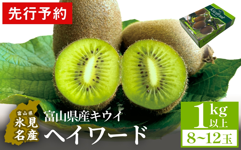 【先行予約】富山県産キウイ（ヘイワード）1kg以上（８～12