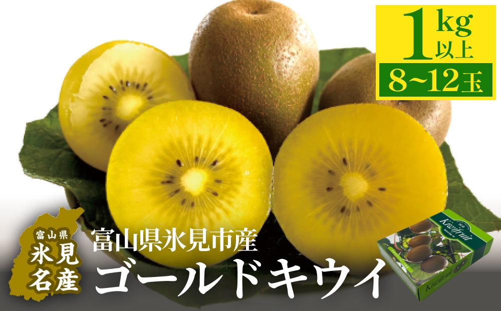 富山県産 ゴールドキウイ 1kg以上（８～12玉） 
