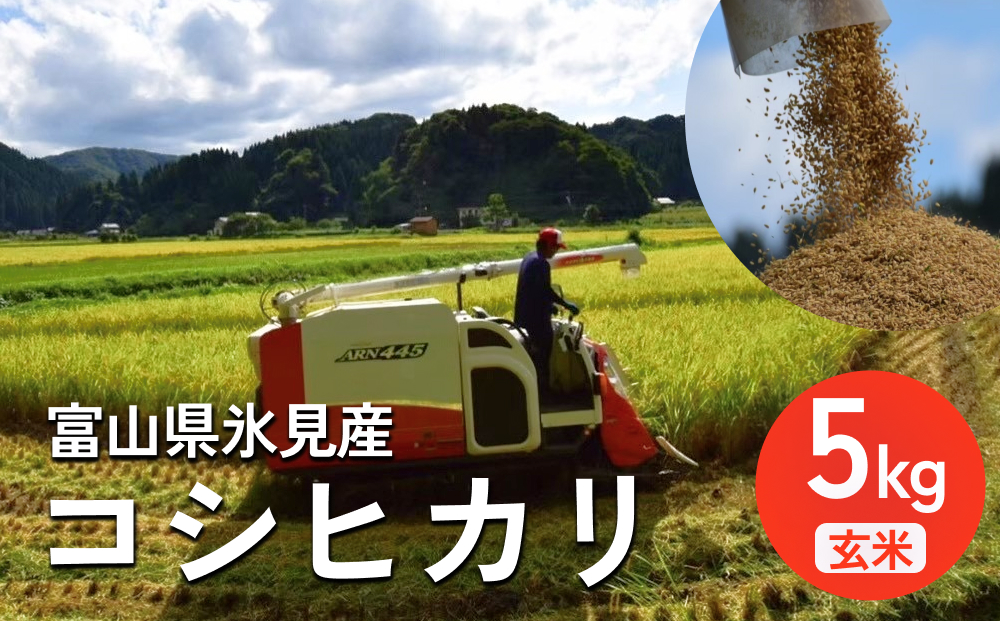 令和7年産 富山県氷見産 コシヒカリ 玄米 5kg ＜2025年10月中