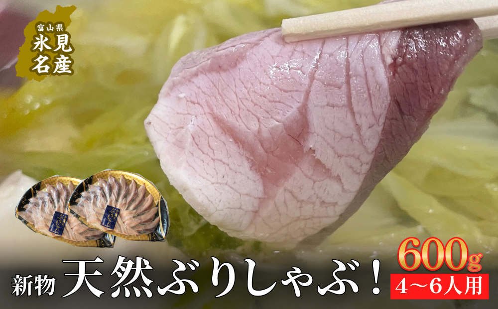 【氷見鰤】新物天然ぶりしゃぶ！300ｇ×2パック　2～3人用　