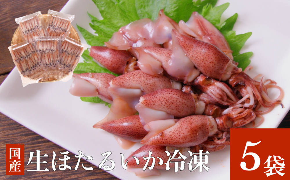 生ほたるいか冷凍5袋セット 富山県 氷見市 ホタルイカ 冷凍