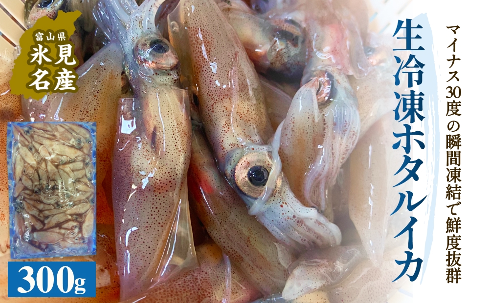 生冷凍ホタルイカ（凍眠） 300g 富山県 氷見市 ほたるいか 