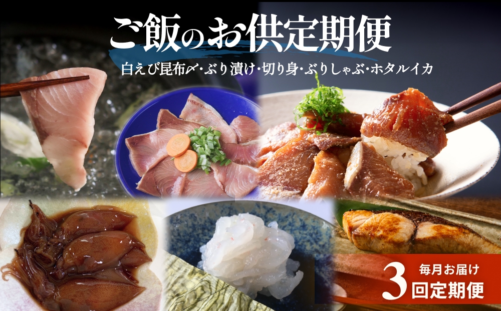 ＜3回定期便＞ご飯のお供定期便 富山県 氷見市 白エビぶり 