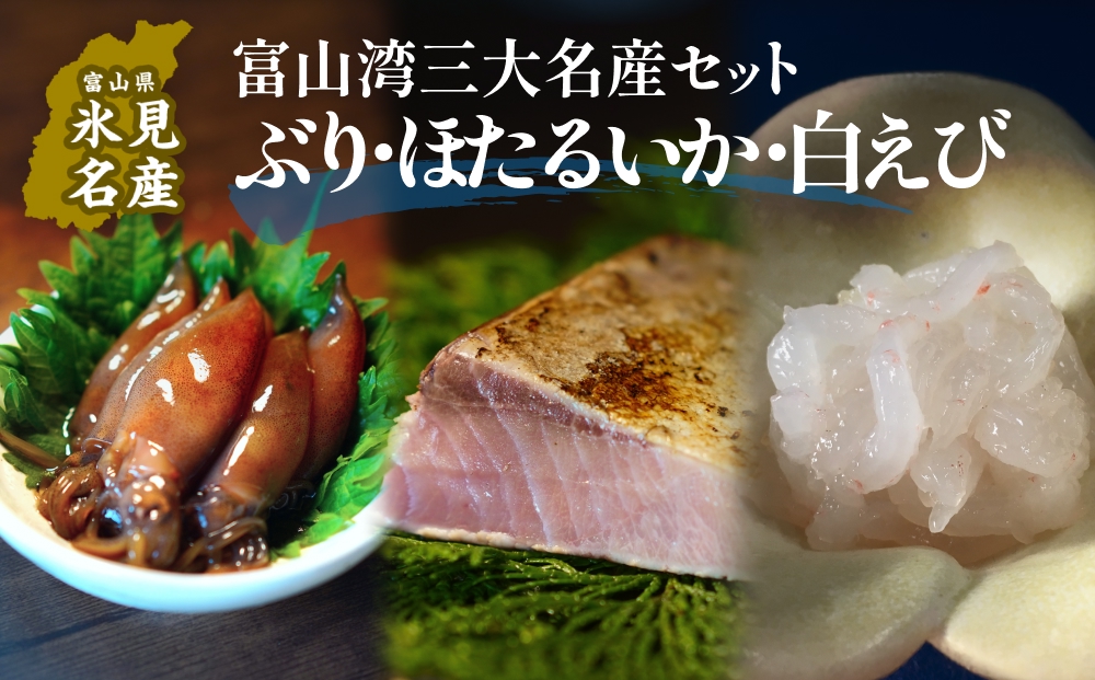 富山湾三大名産ぶり・ほたるいか・白えびのセット 富山県 