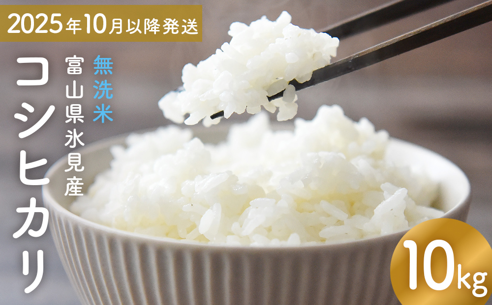 コシヒカリ 無洗米 10kg （5kg×2） 富山県氷見産 ＜2025年10月