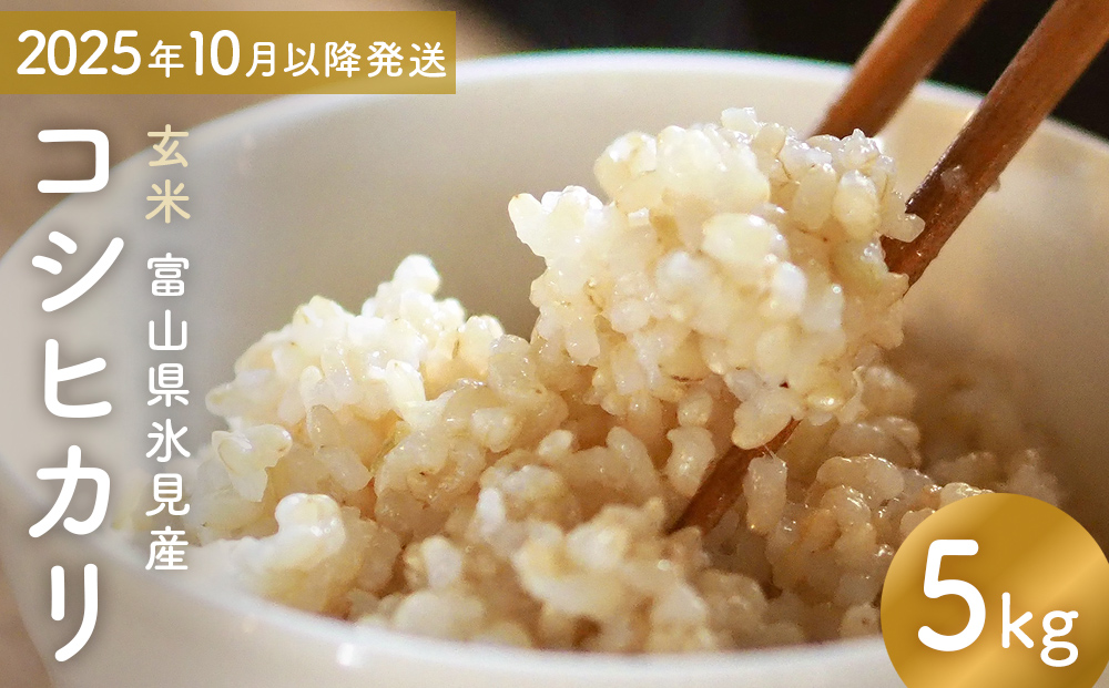 コシヒカリ 玄米 5kg 富山県氷見産 ＜2025年10月以降発送＞ 富