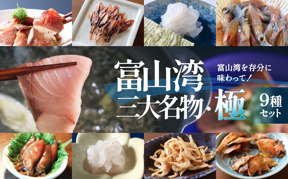 富山湾三大名物・極 鰤 ホタルイカ 白えび つめ合わせ ブリ