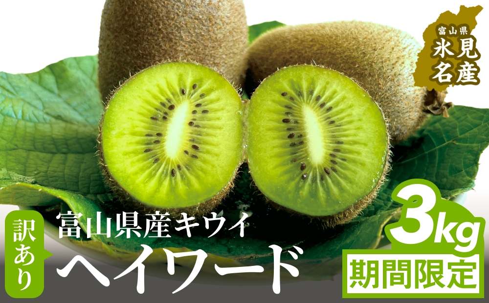 【先行予約】 訳ありヘイワード3kg（小玉、異形、擦り傷、