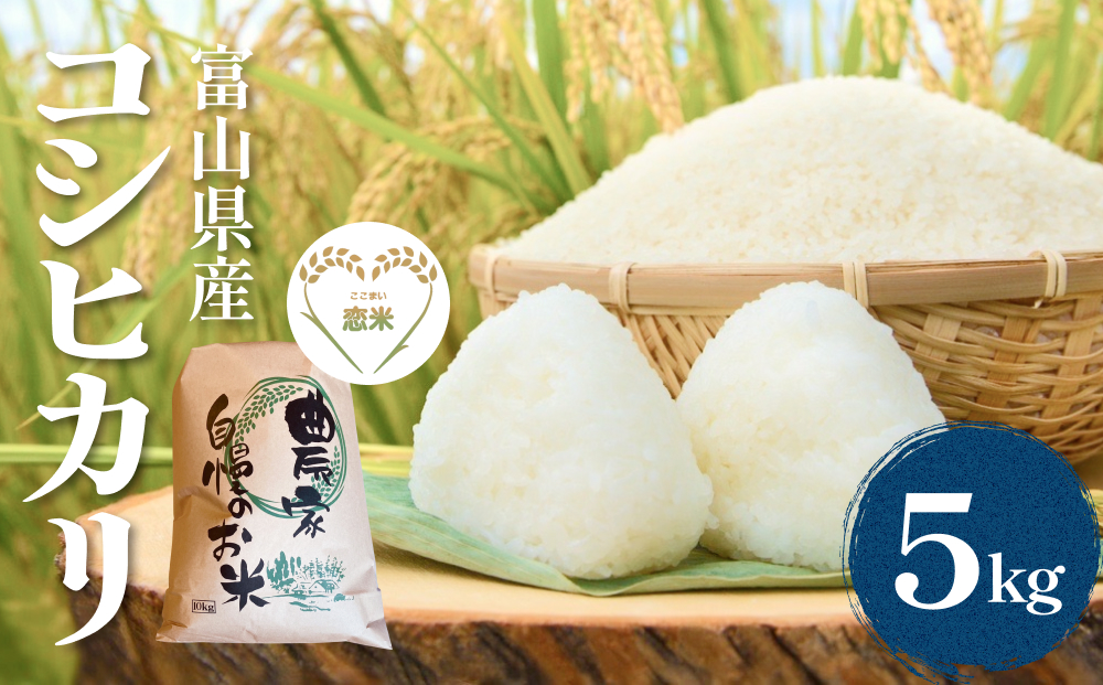 令和7年産 富山県産コシヒカリ 5kg　恋米（ここまい） 天風