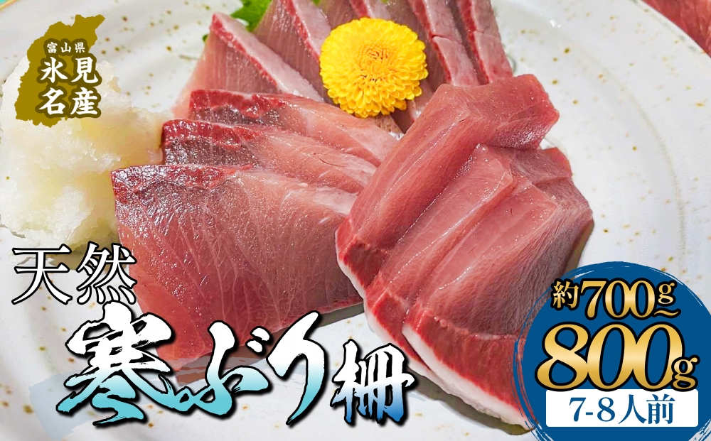 氷見産 天然寒ぶり 柵 7-8人前 約700g-800g | 釣屋魚問屋直営店