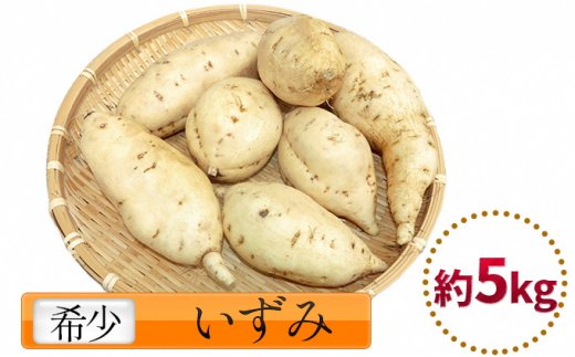 富山県産さつまいも いずみ 約5kg