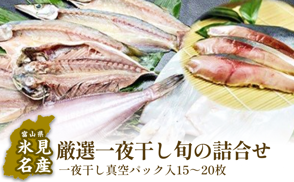 氷見産厳選一夜干し旬の詰合せ　【魚貝類・干物】