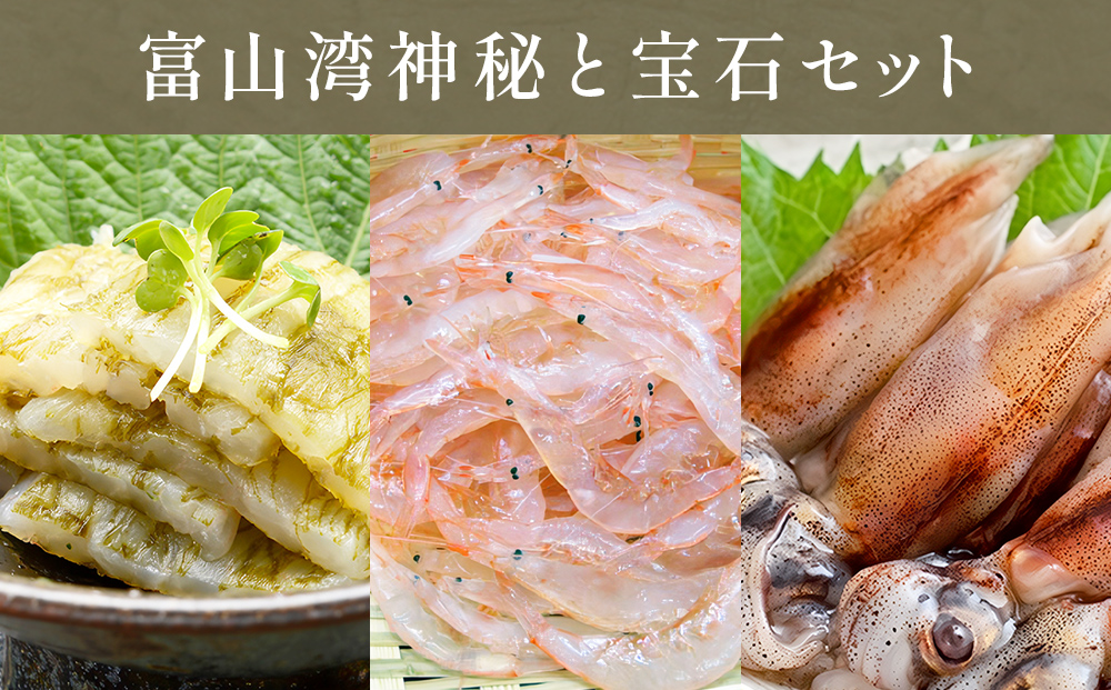 富山湾の神秘”ほたるいか”と富山湾の宝石”白エビ”セ