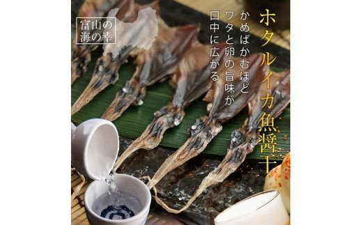 越中氷見屋　ホタルイカ 魚醤干し 18尾入り × 5袋　【魚貝