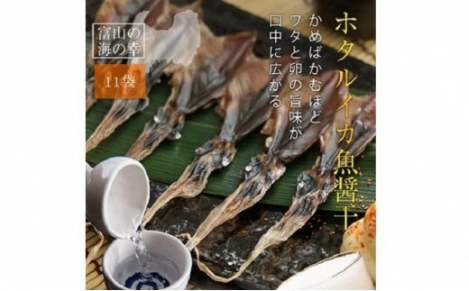 越中氷見屋　ホタルイカ 魚醤干し 18尾入り × 11袋　【魚貝