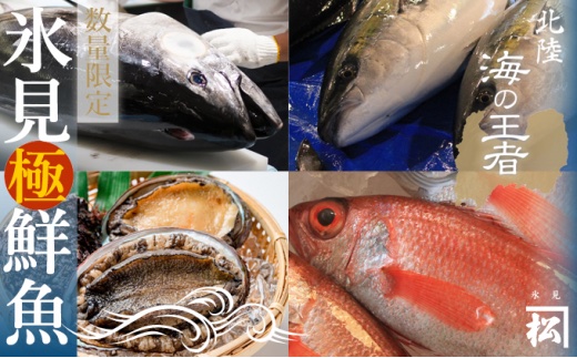 氷見漁港直送！〈豪華 魚介類 定期便〉ミシュラン星付き店