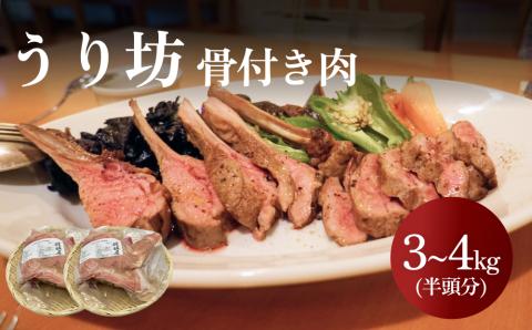 うり坊 骨付き肉 半頭分(約3kg〜4kg) 富山県 氷見市 猪 ジビエ ウリ坊 肉 BBQ 鍋