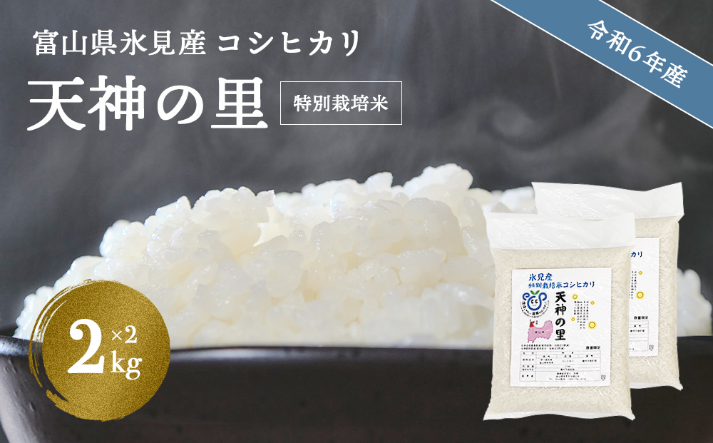 令和6年産 富山県産特別栽培米 コシヒカリ 天神の里2kg×2