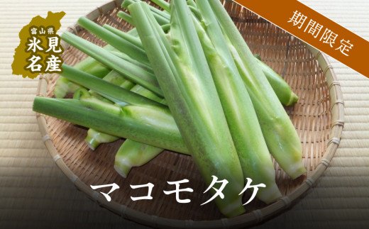 《秋限定》富山県氷見産マコモタケ約1kg