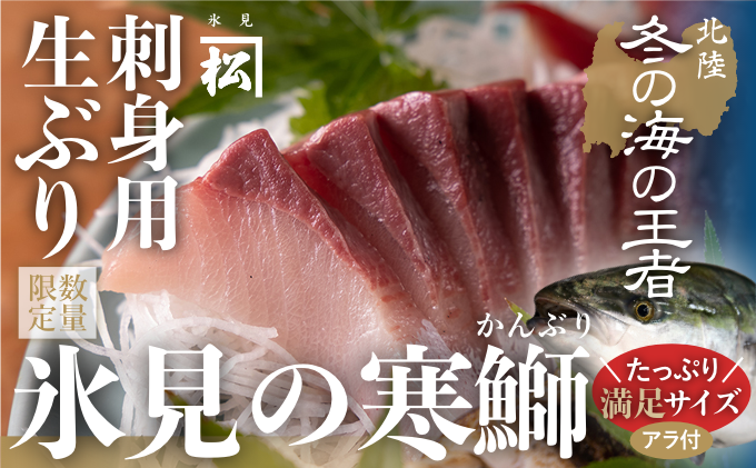 【先行予約】【魚問屋直送】天然「生ひみ寒ぶり」刺身用