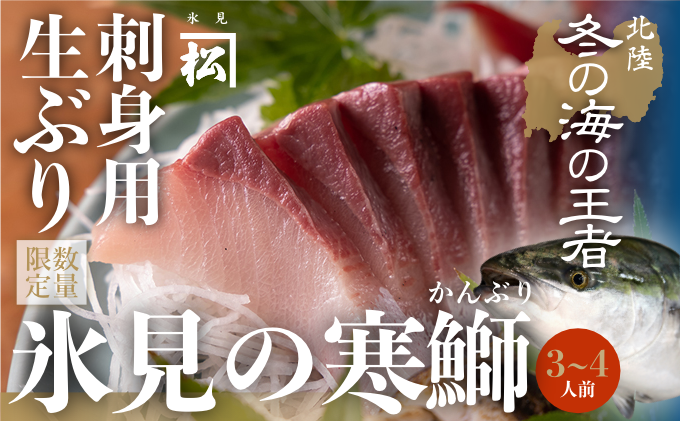 [魚問屋直送]天然「生ひみ寒ぶり」刺身用 約400g[アラ付き]