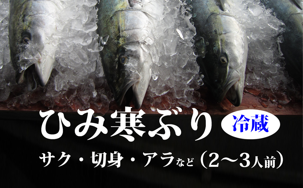 【先行予約】ひみ寒ぶり　サク・切身・あらなど　約2、3人