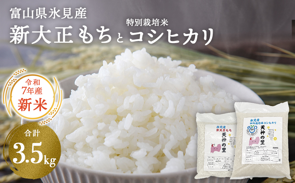 富山県氷見産 新大正もち（1.5kg）と特別栽培米コシヒカリ
