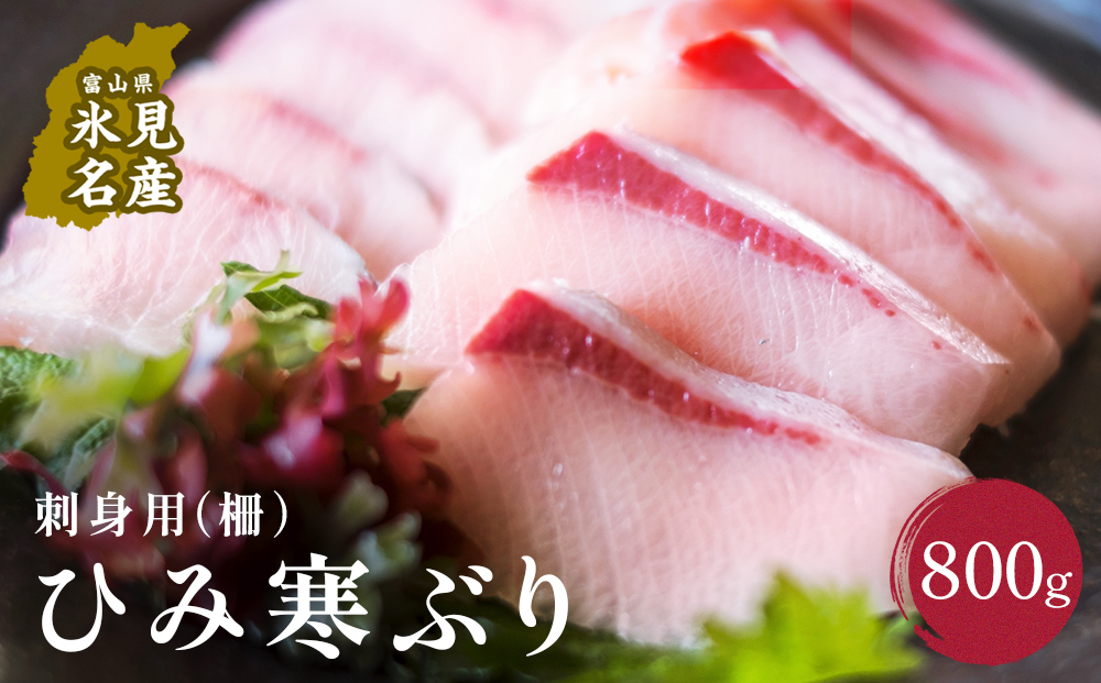 【先行予約】【期間限定】ひみ寒ぶり 刺身用（柵）800g  富